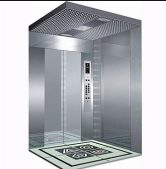 Elevatore moderno del passeggero di 1.0m/s 220V per i commerci di B2B
