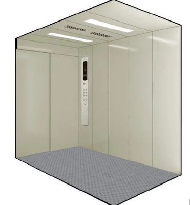 Elevatore ad alta velocità del carico di acciaio inossidabile 0.5m/S per 2-8 pavimenti