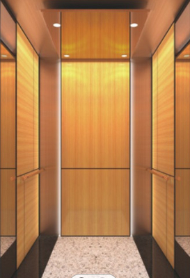 10 cabina dell'ascensore di acciaio inossidabile dell'elevatore CNAS del passeggero delle persone