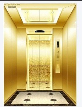 l'elevatore residenziale del passeggero 2.5m/s solleva le persone 1000KG 13