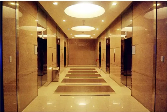 10 ascensori domestici idraulici residenziali degli elevatori 1.75m/s delle persone 1150KG