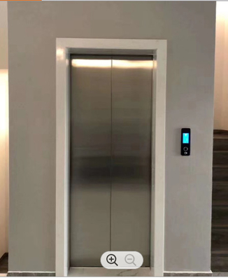 Ascensore domestico idraulico del compatto idraulico degli elevatori 250KG 0.3m/s di FUJI