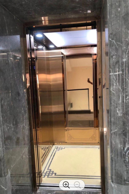 Ascensore domestico idraulico del compatto idraulico degli elevatori 250KG 0.3m/s di FUJI