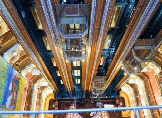 Un elevatore panoramico 800KG di 10 persone intorno all'elevatore di vetro residenziale