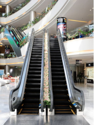 La scala mobile della passeggiata commovente del centro commerciale 35 gradi ha temperato Fuji di vetro