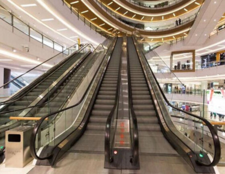 Scala mobile della passeggiata commovente da 30 gradi monitor dell'ascensore di punto dei 0,8 tester