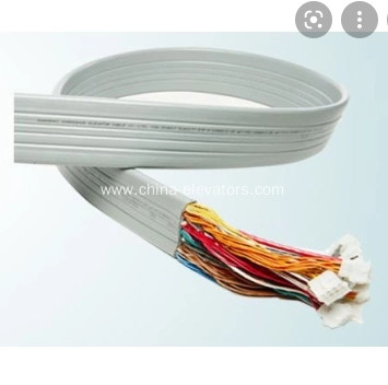Elevatori domestici Gearless di viaggio dell'elevatore di trasporto dell'appartamento del cavo CAT6 4.0m/s 450KG